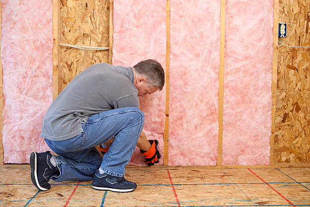 Best Eco-Friendly Insulation in Helena Flats, MT