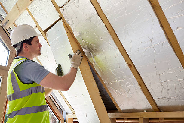 Best Cellulose Insulation in Helena Flats, MT
