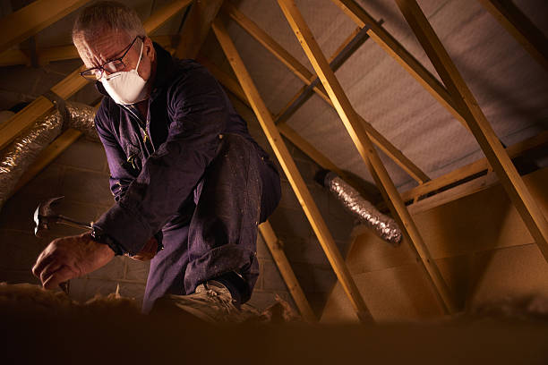 Best Specialized Insulation Services in Helena Flats, MT